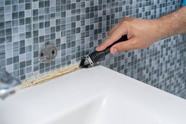 Best Bathroom Mold Remediation in Marionville, MO